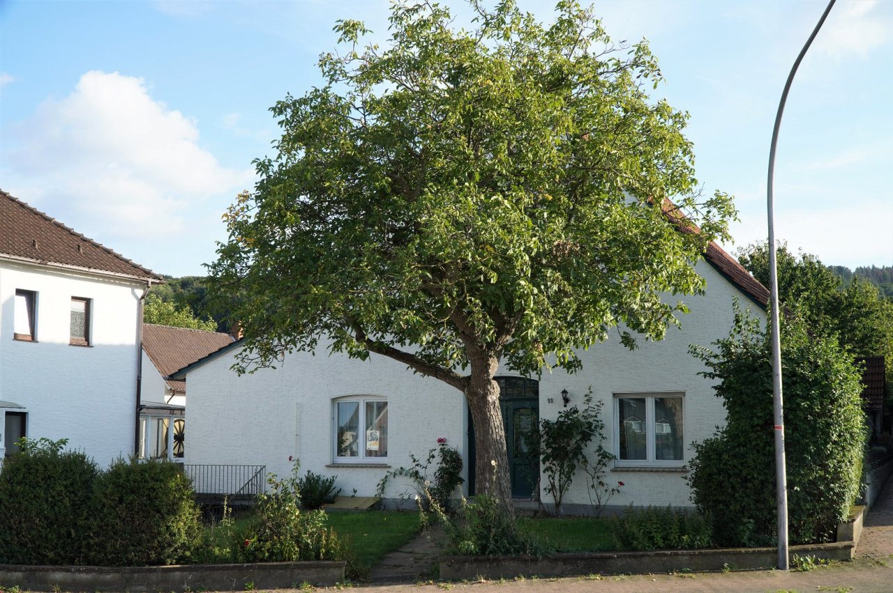 Einfamilienhaus - Wohnen auf einer Ebene