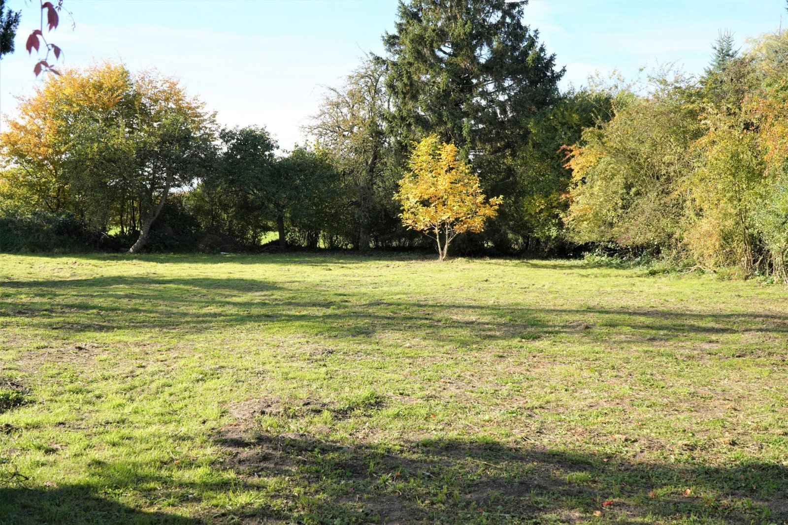 Ideal für Großfamilien! Gepflegtes 2 Familienhaus mit großem Grundstück ca. 2000 m²