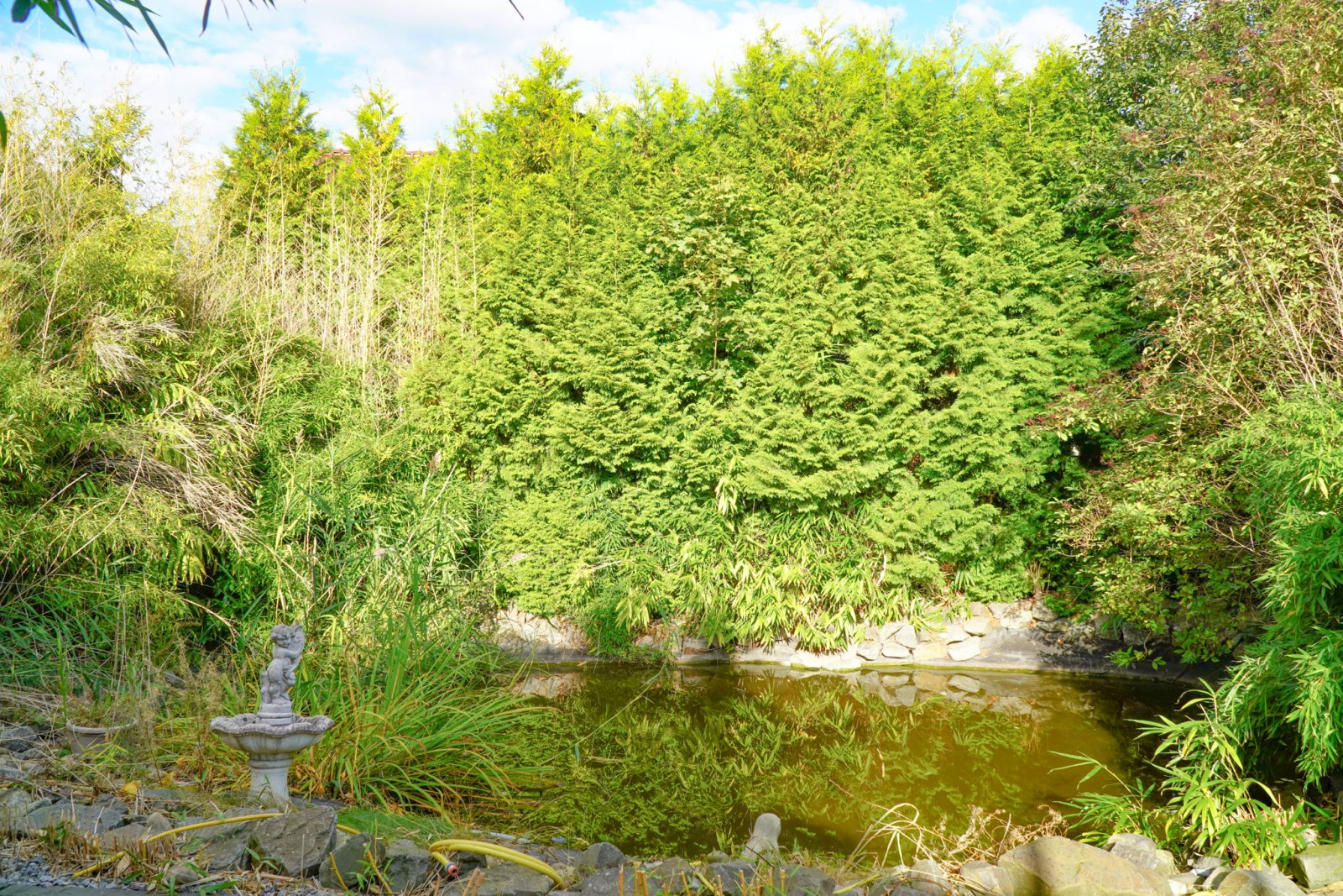 Investoren aufgepasst!  Mehrfamilienhaus mit 4 WE + Büro + Lager - Ideal für Handwerksbetriebe