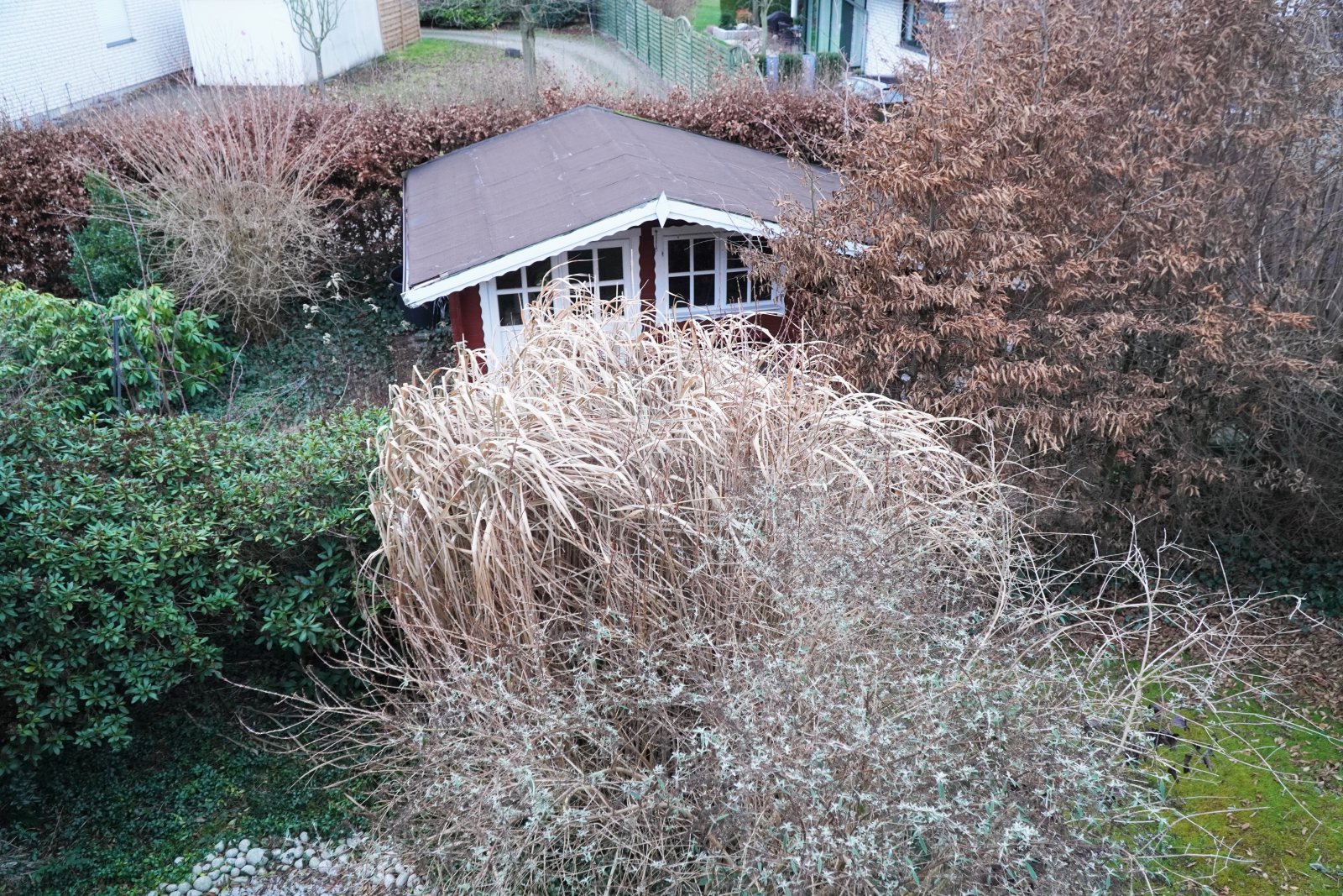 Garten - Hinten