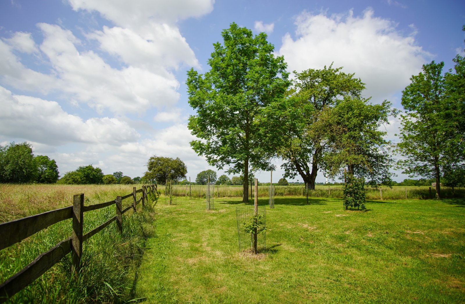 Ausblick West Ausblick West