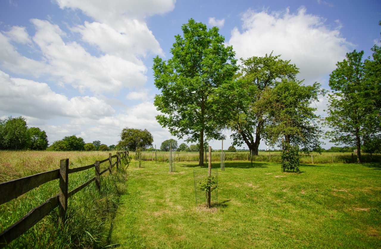 Ausblick West Ausblick West